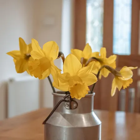 펜션 Family Getaway At Working Farm *